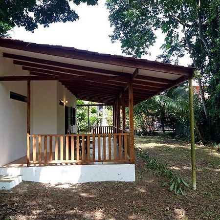 Green Papaya Villa Puerto Viejo de Talamanca Exterior photo