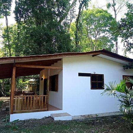 Green Papaya Villa Puerto Viejo de Talamanca Exterior photo