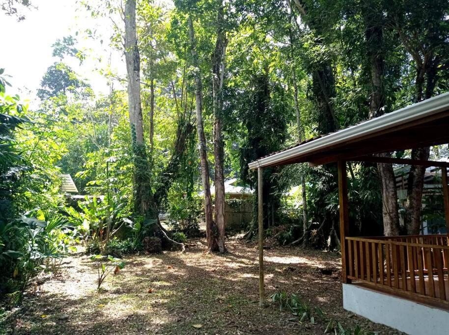 Green Papaya Villa Puerto Viejo de Talamanca Exterior photo