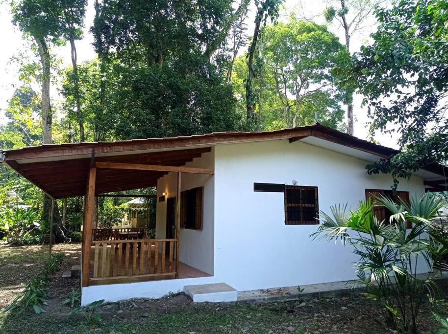 Green Papaya Villa Puerto Viejo de Talamanca Exterior photo